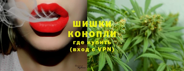 винт Алексин