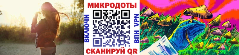 Псилоцибиновые грибы GOLDEN TEACHER Зубцов